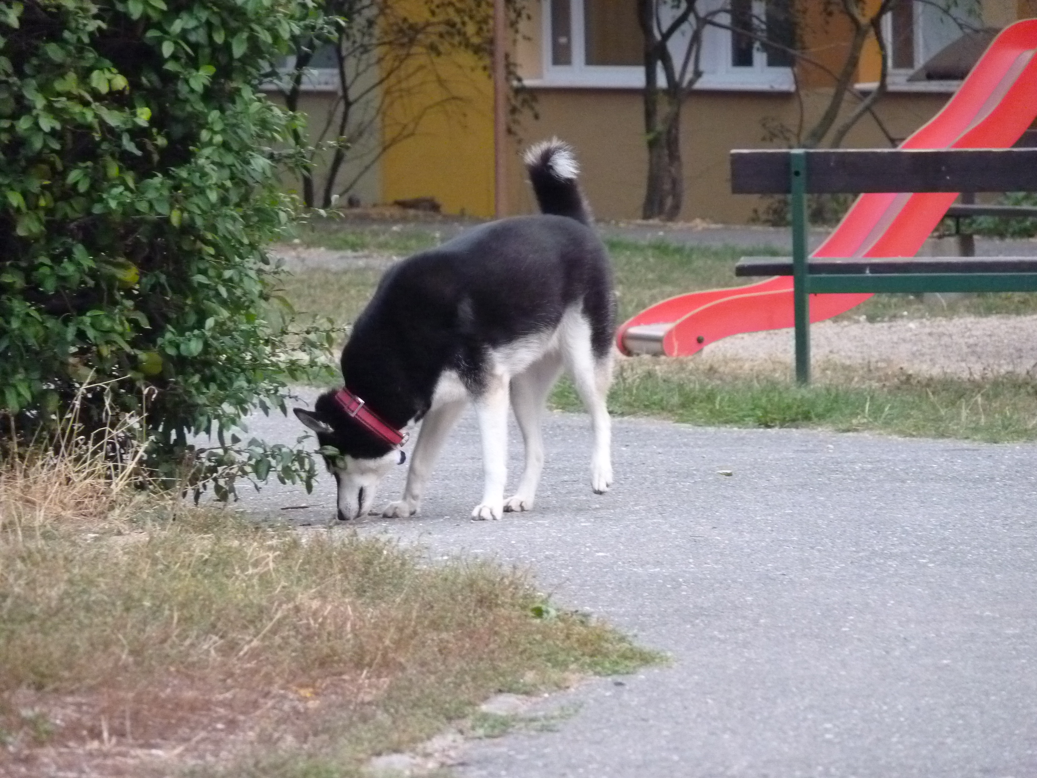 P1010434.JPG