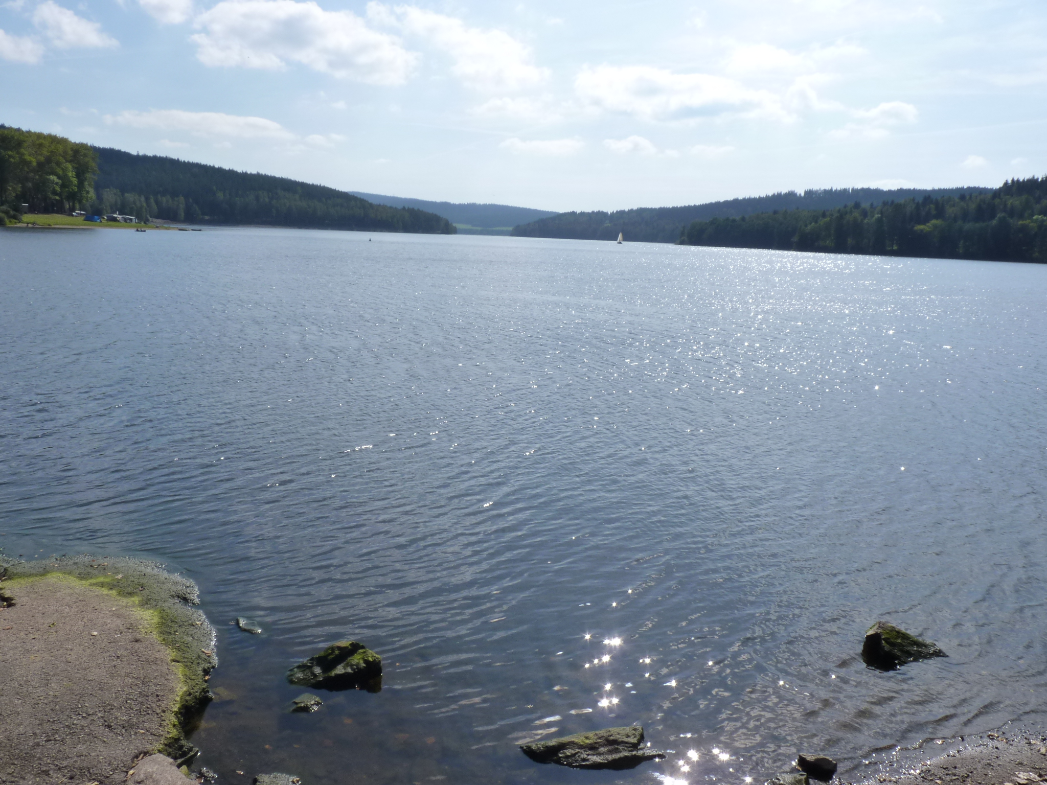 P1010486.JPG