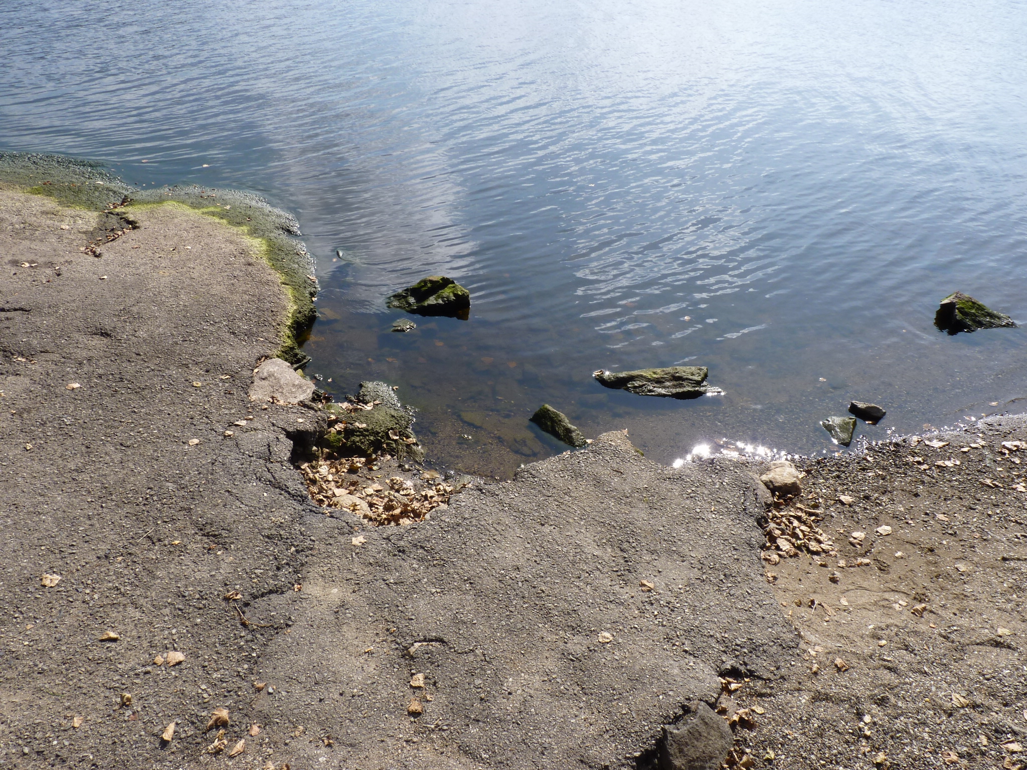 P1010492.JPG