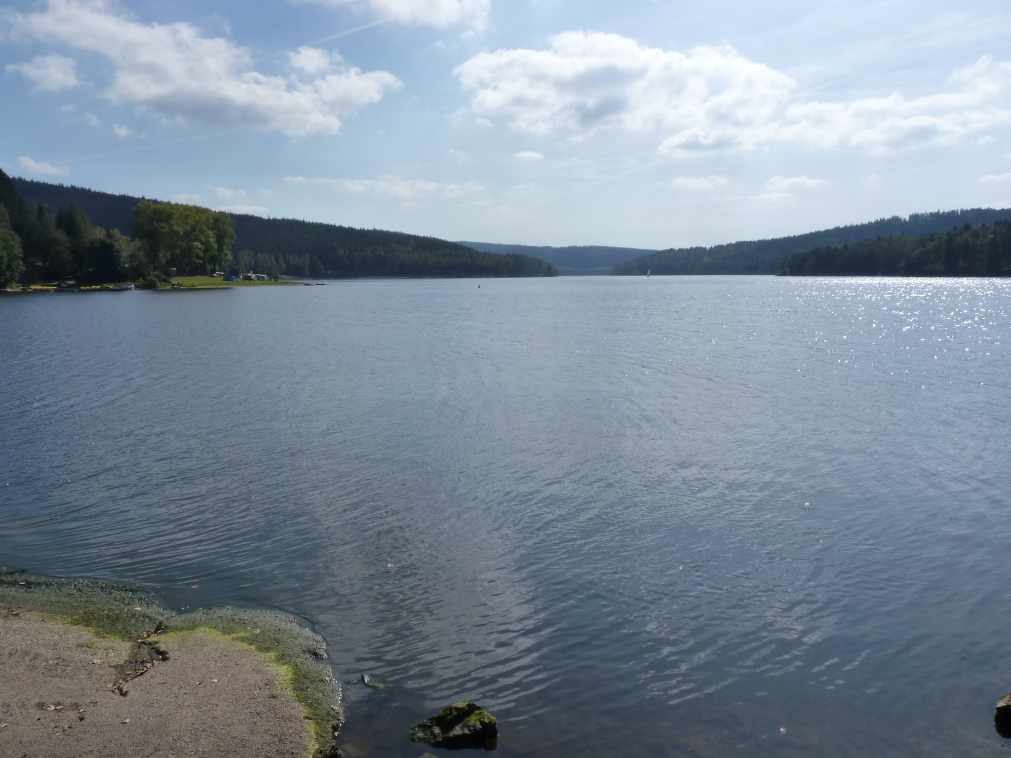 P1010493.JPG